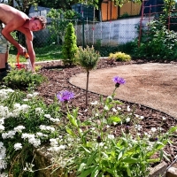 Zahrady Lukša - práce v záhonu